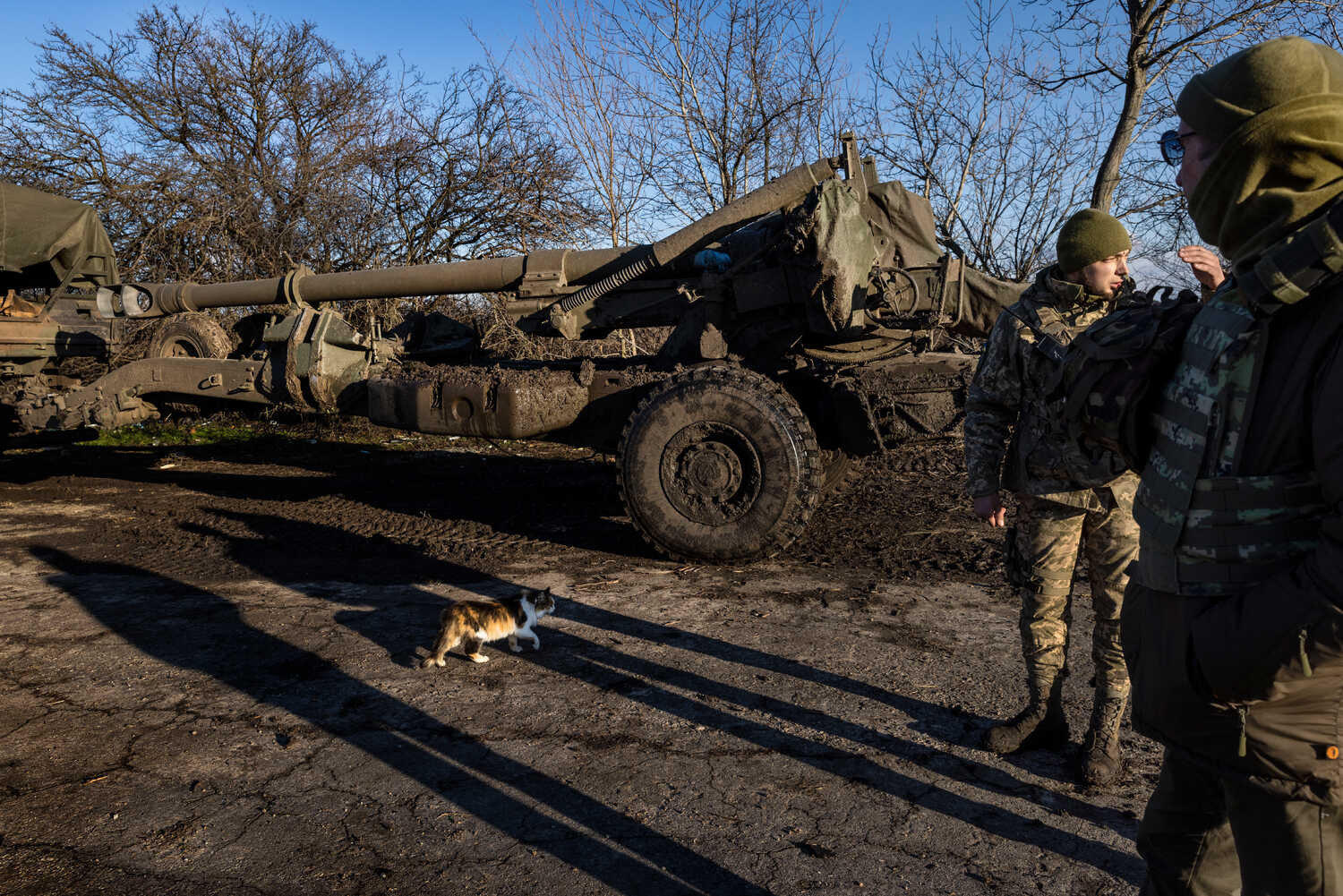 A cat walking by an artillery piece on wheels, and two soldiers.